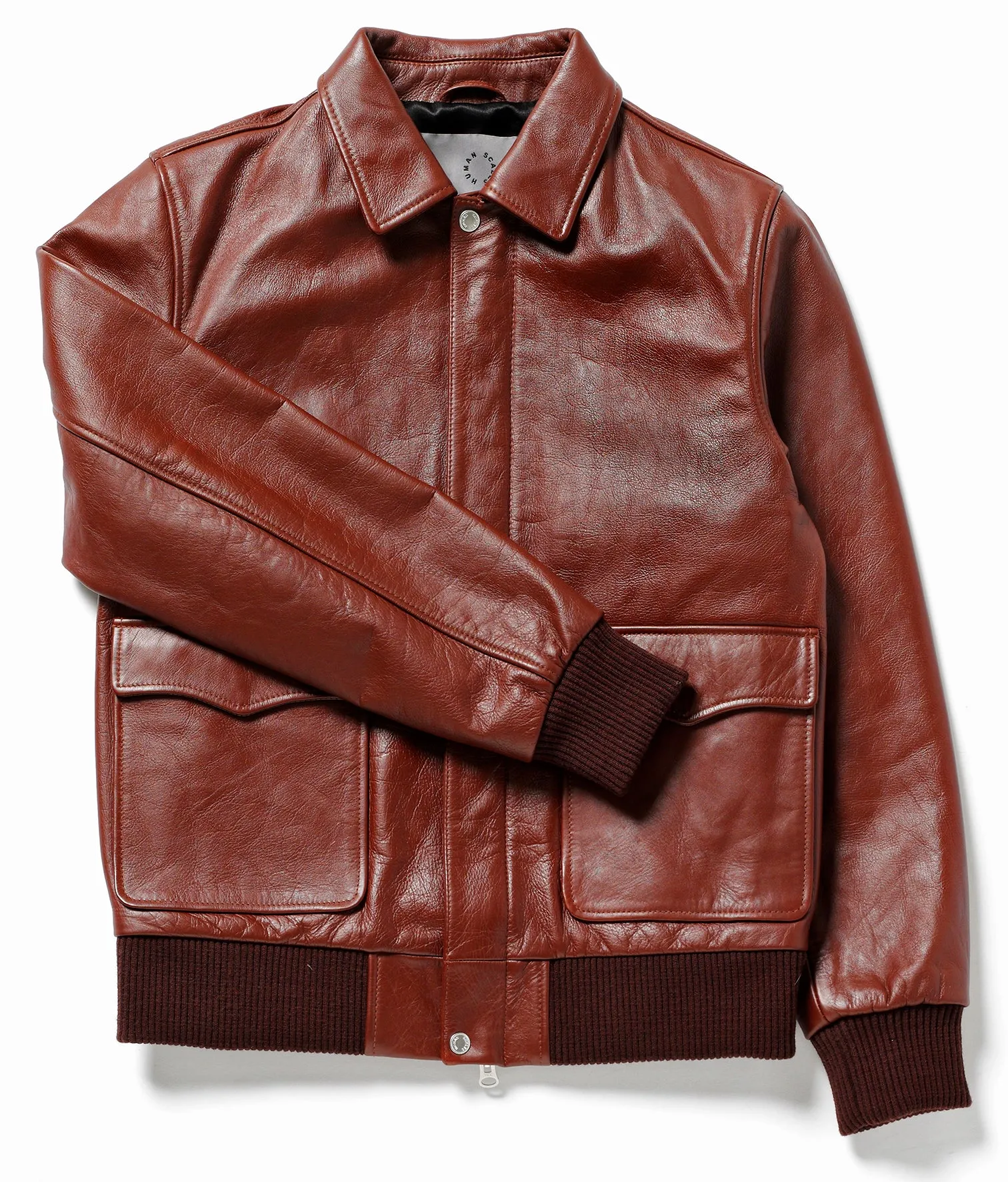 Alec cow brown